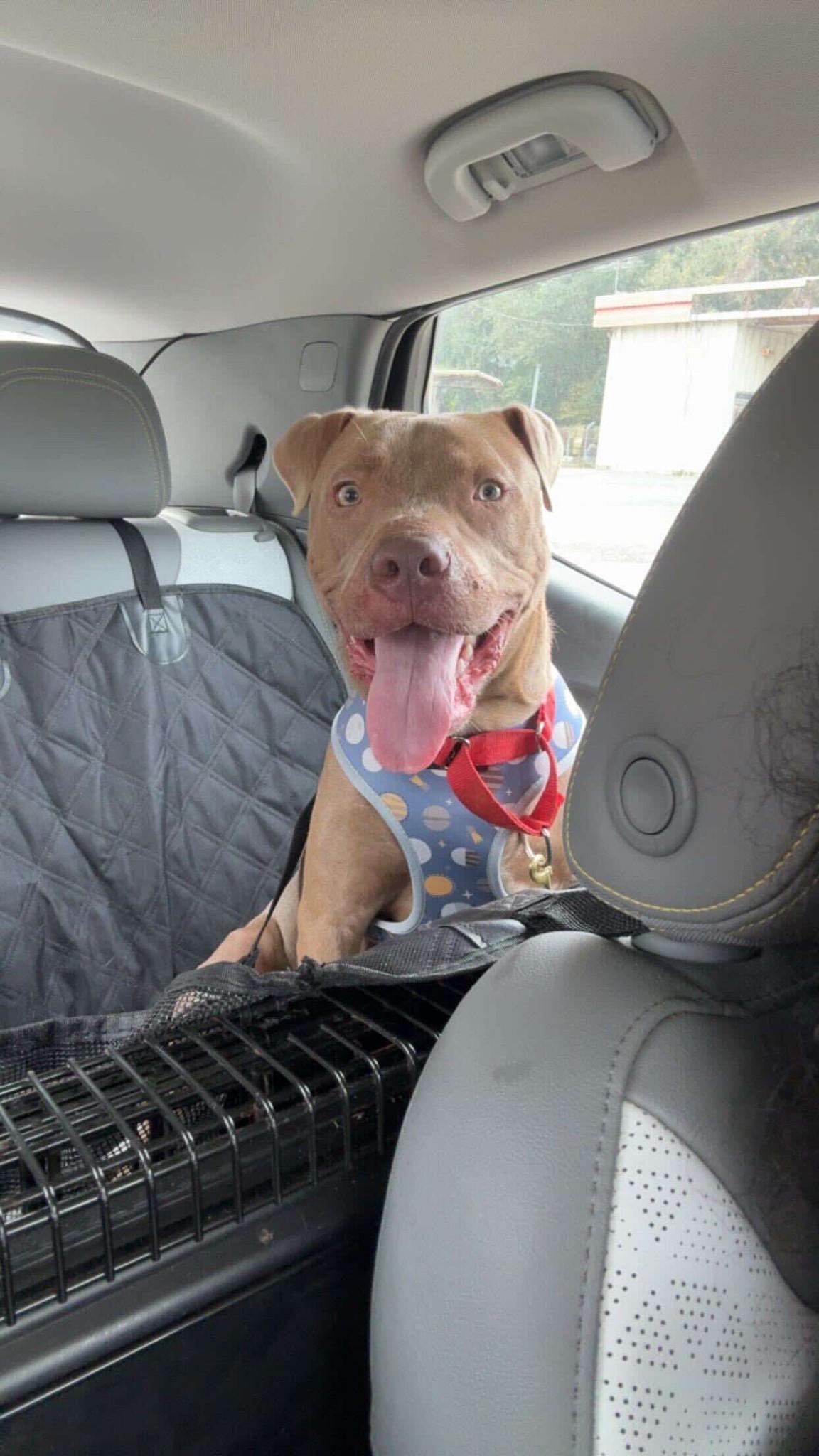 BMO (20251208-02) — thumbnail 6