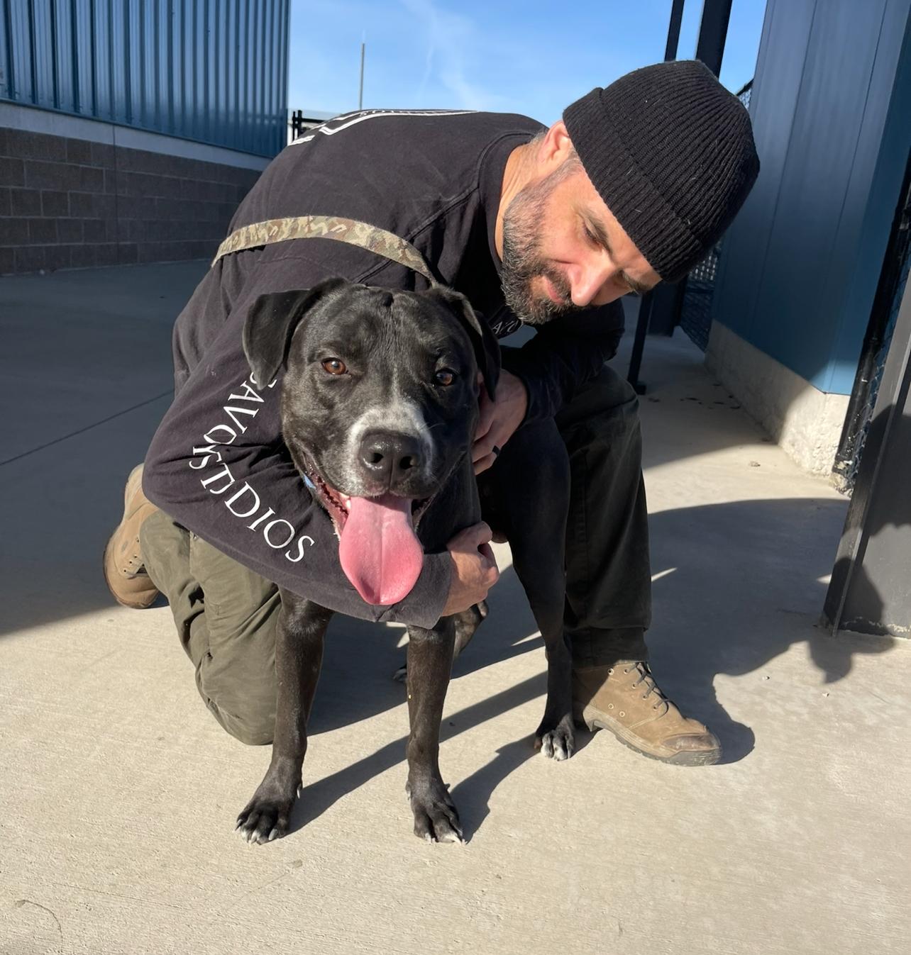 Tallen, a Adoptable mixed breed in Prineville, OR image 3/6