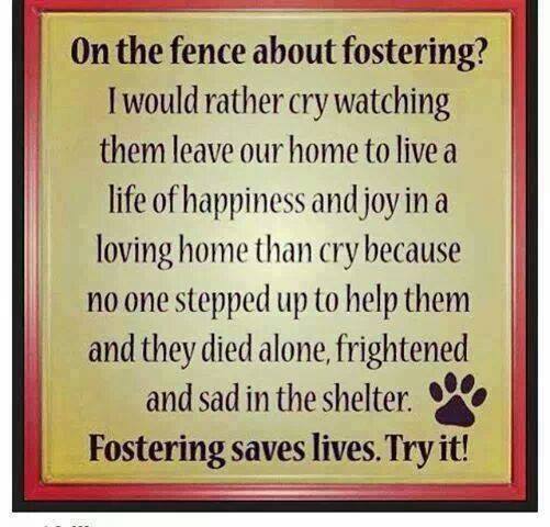 Fostering