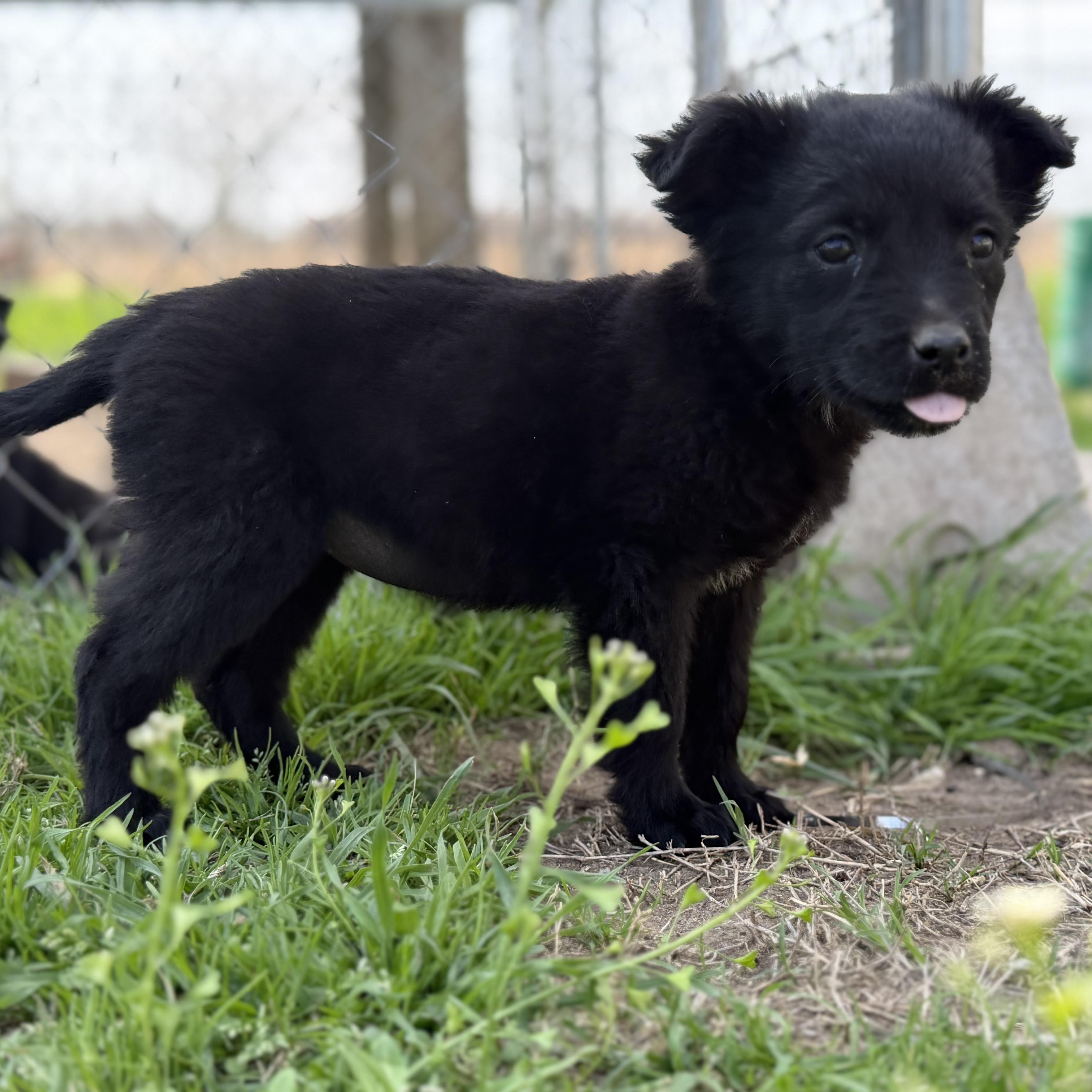 Libra — thumbnail 4