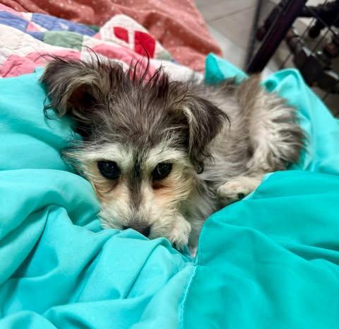 Hope  Faith & thumbnail 2