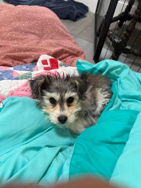 Hope  Faith & thumbnail 3