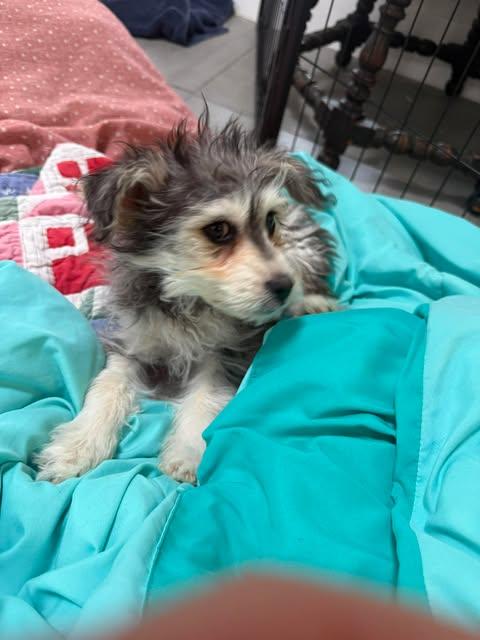 Hope  Faith & thumbnail 5