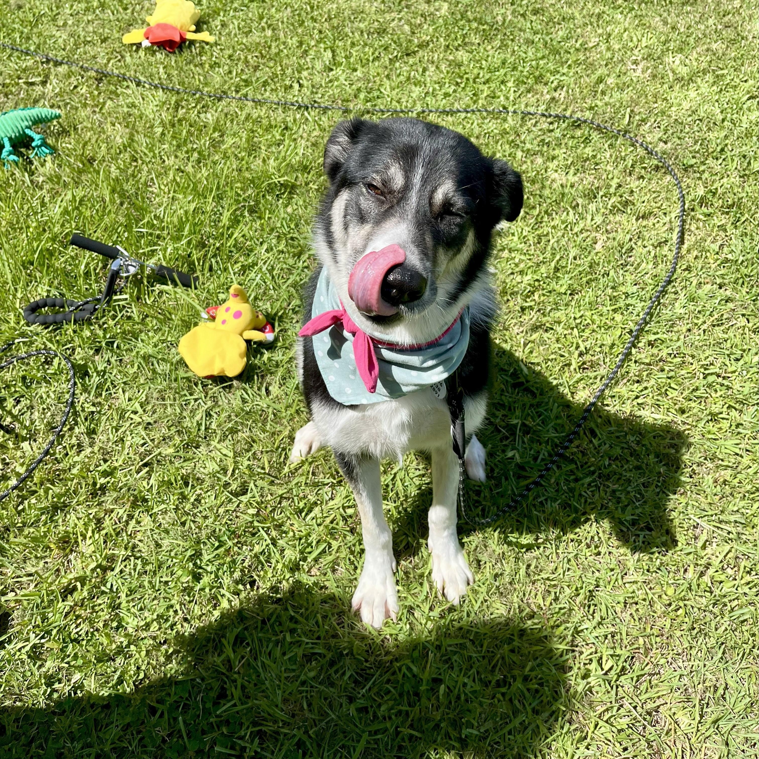 Mileena — thumbnail 6