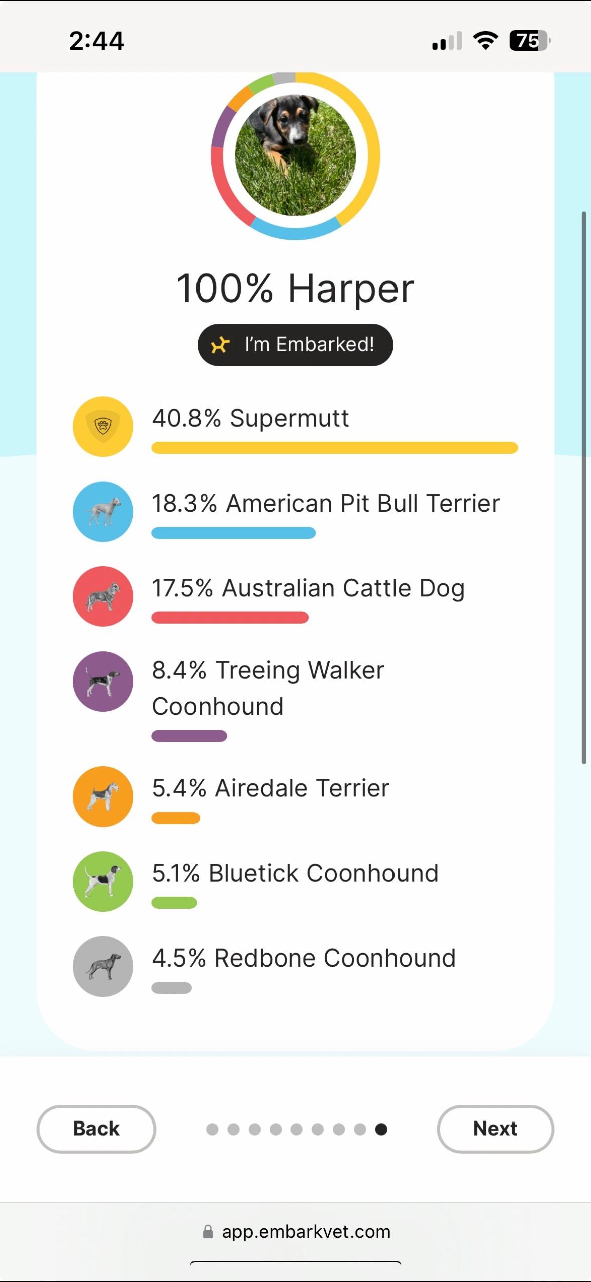 Enlarge Harper and Goose - FUN, FEARLESS AND FANTASTIC DOGS, a ADOPTABLE mixed breed in Bristow, VA image 5/5