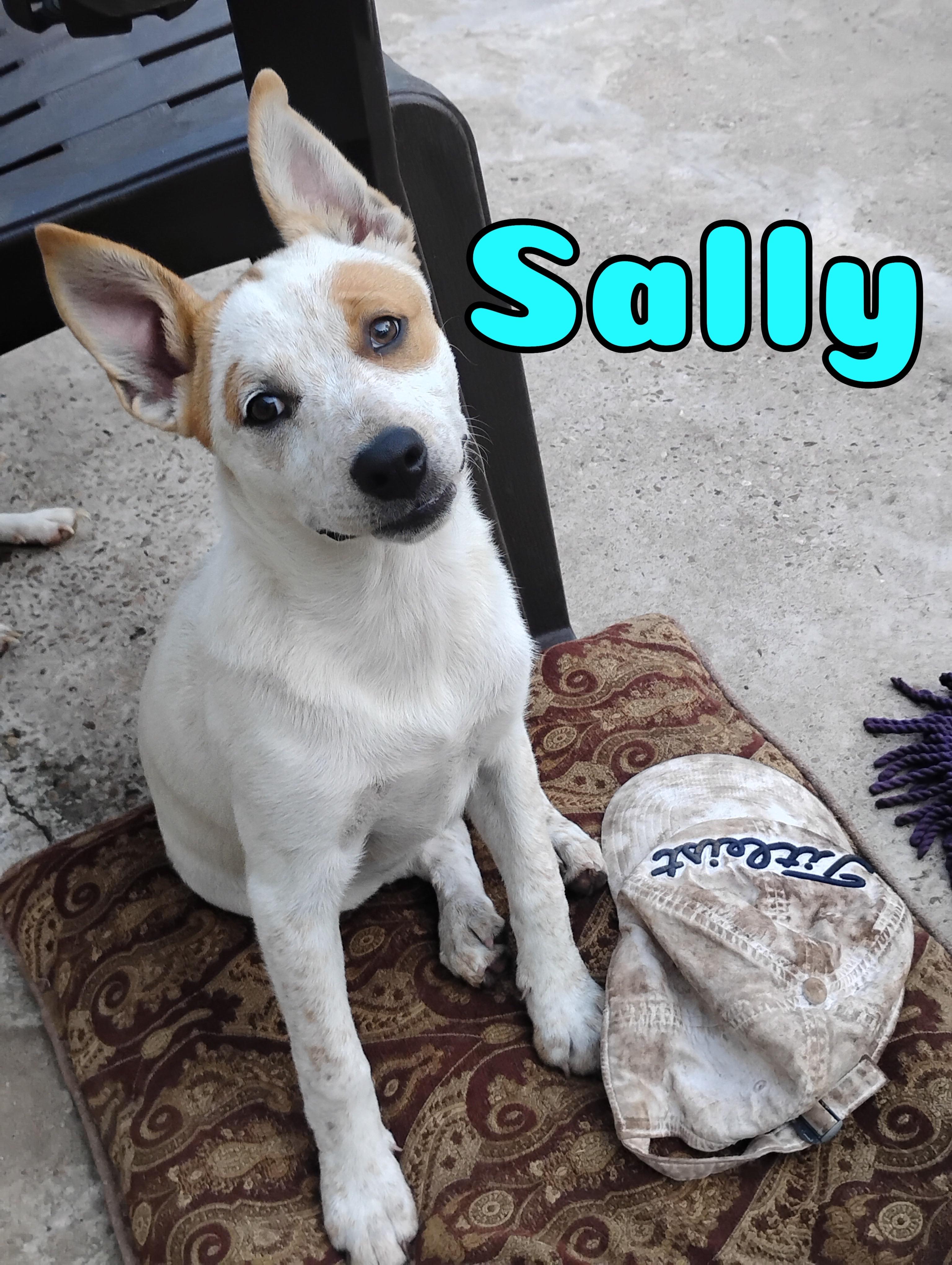 Sally in Texarkana TX