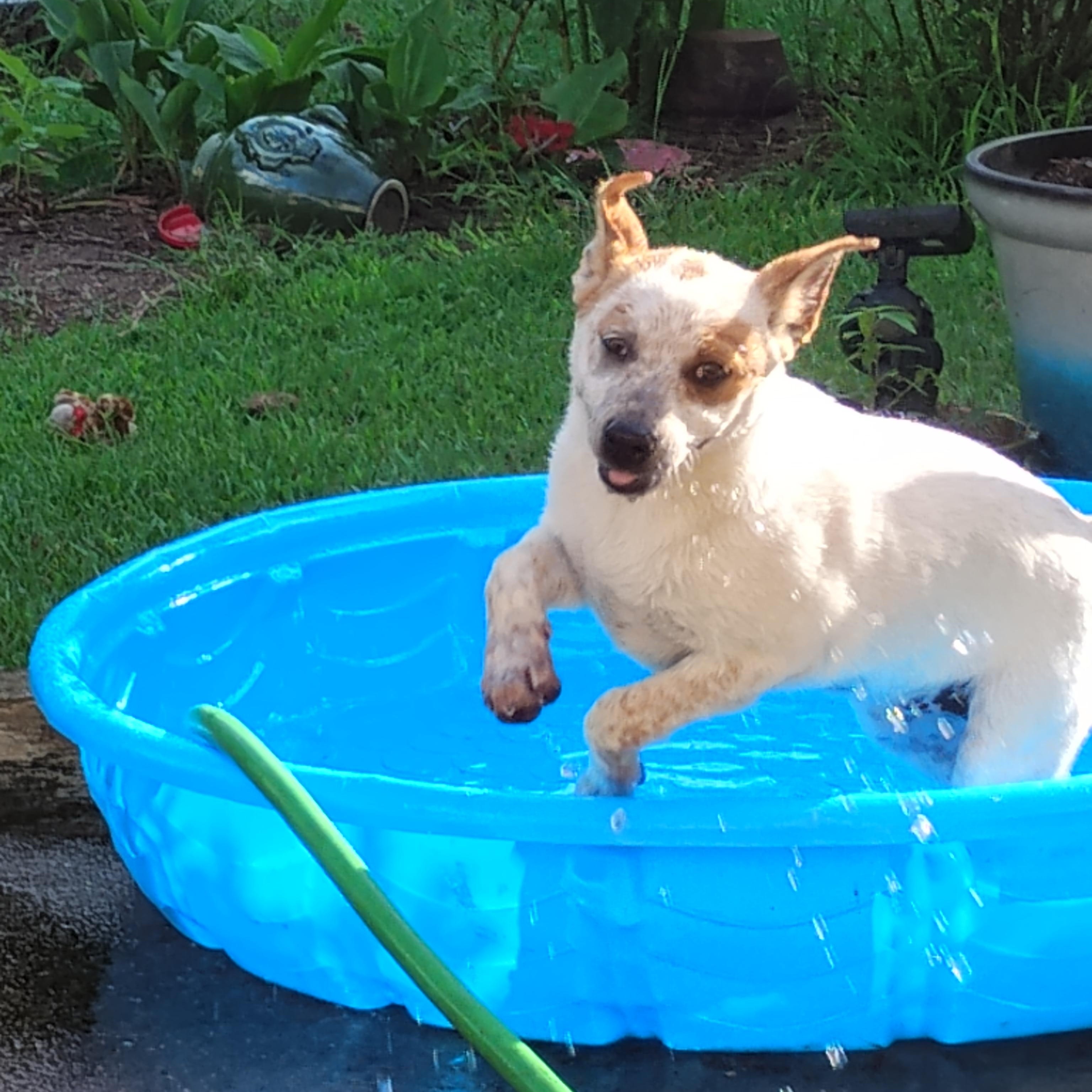 Sally in Texarkana TX