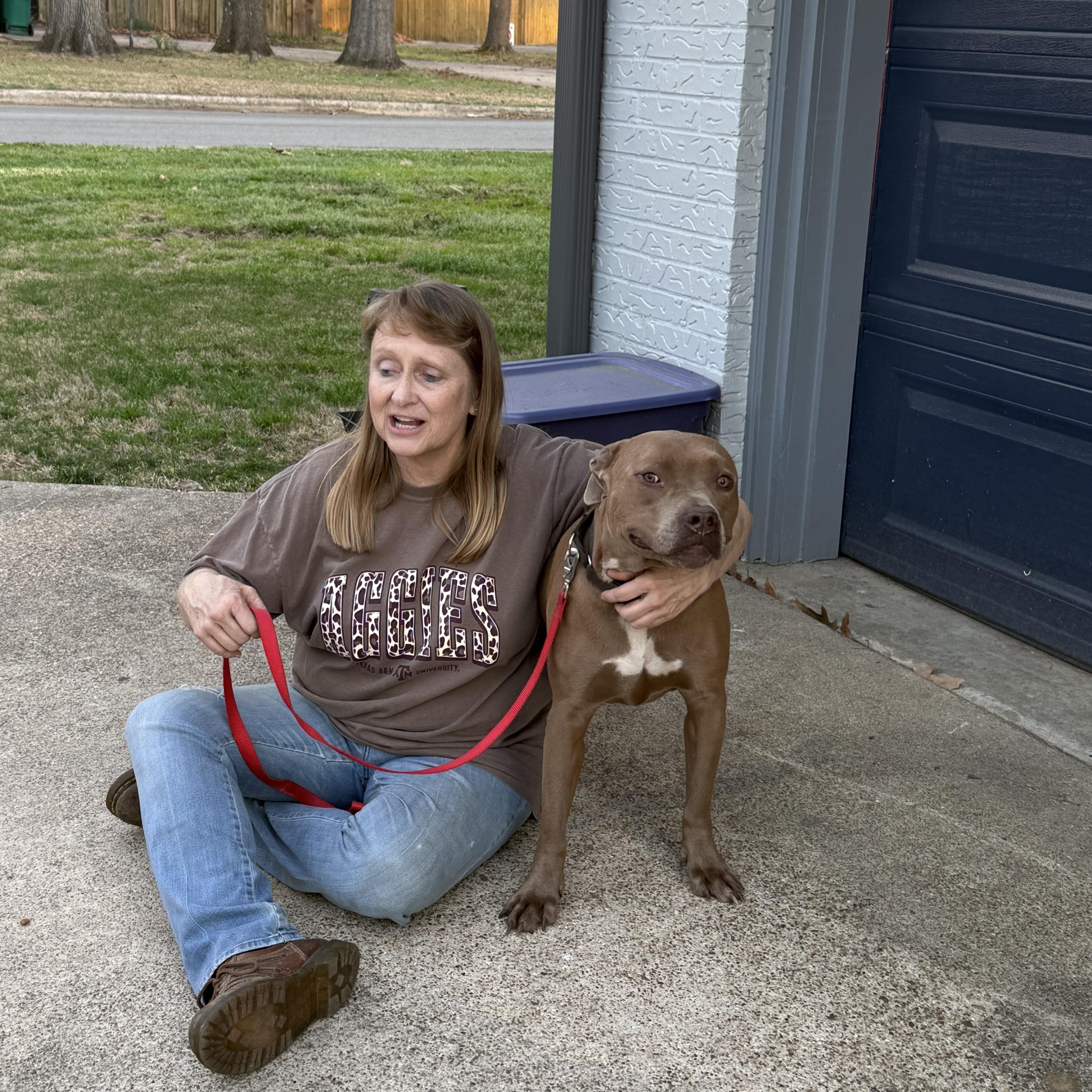 Enlarge Mochi , a Adoptable Pit Bull Terrier in Fredericksburg, VA image 5/5
