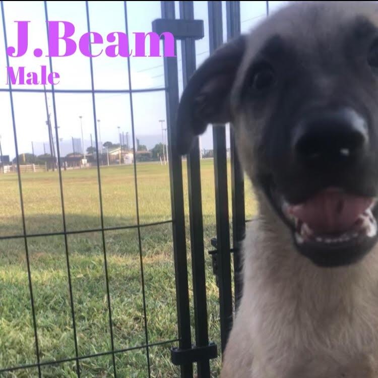 J. Beam photo 4