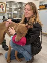 Max Velocity thumbnail 3