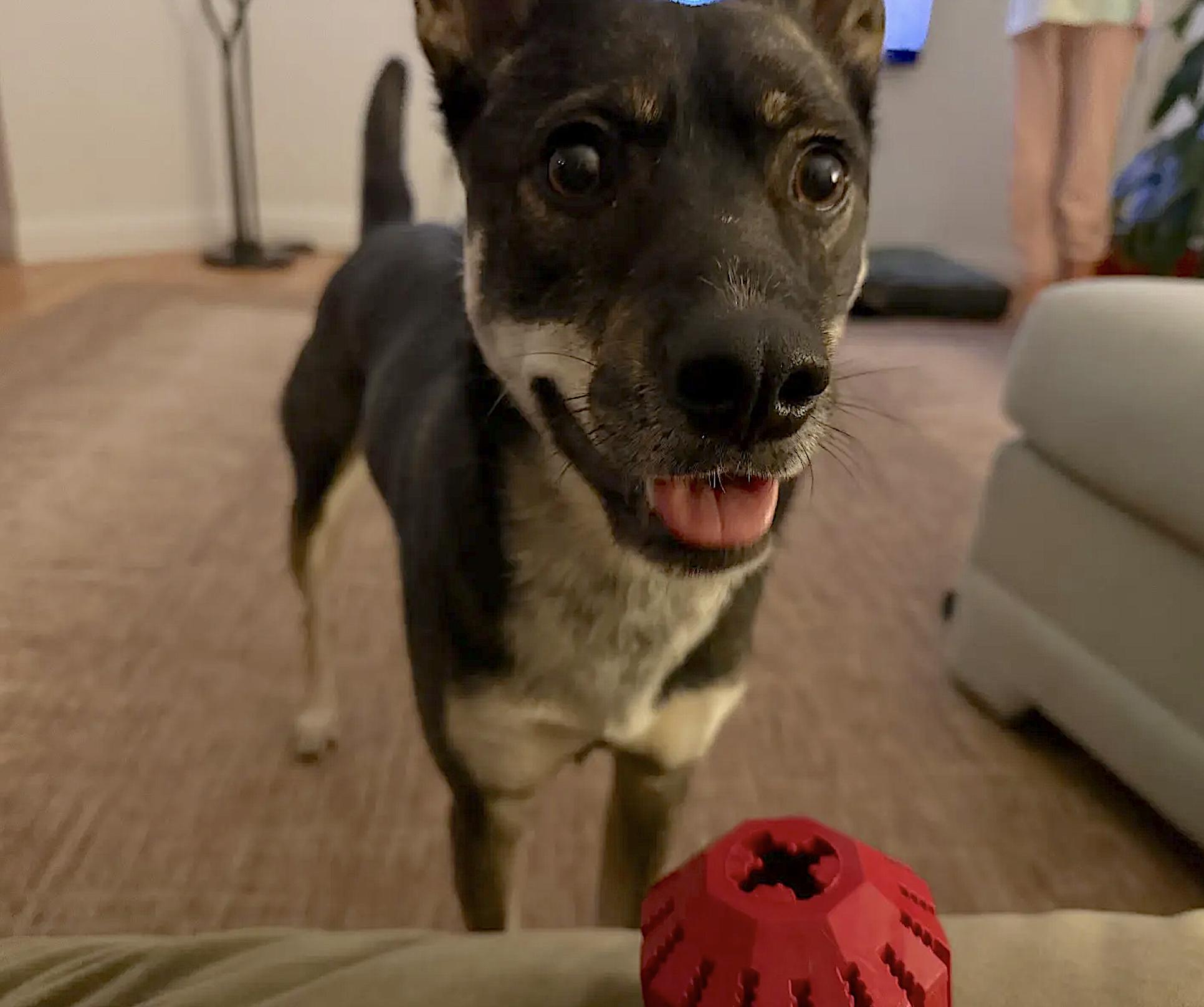 Kiki photo 4