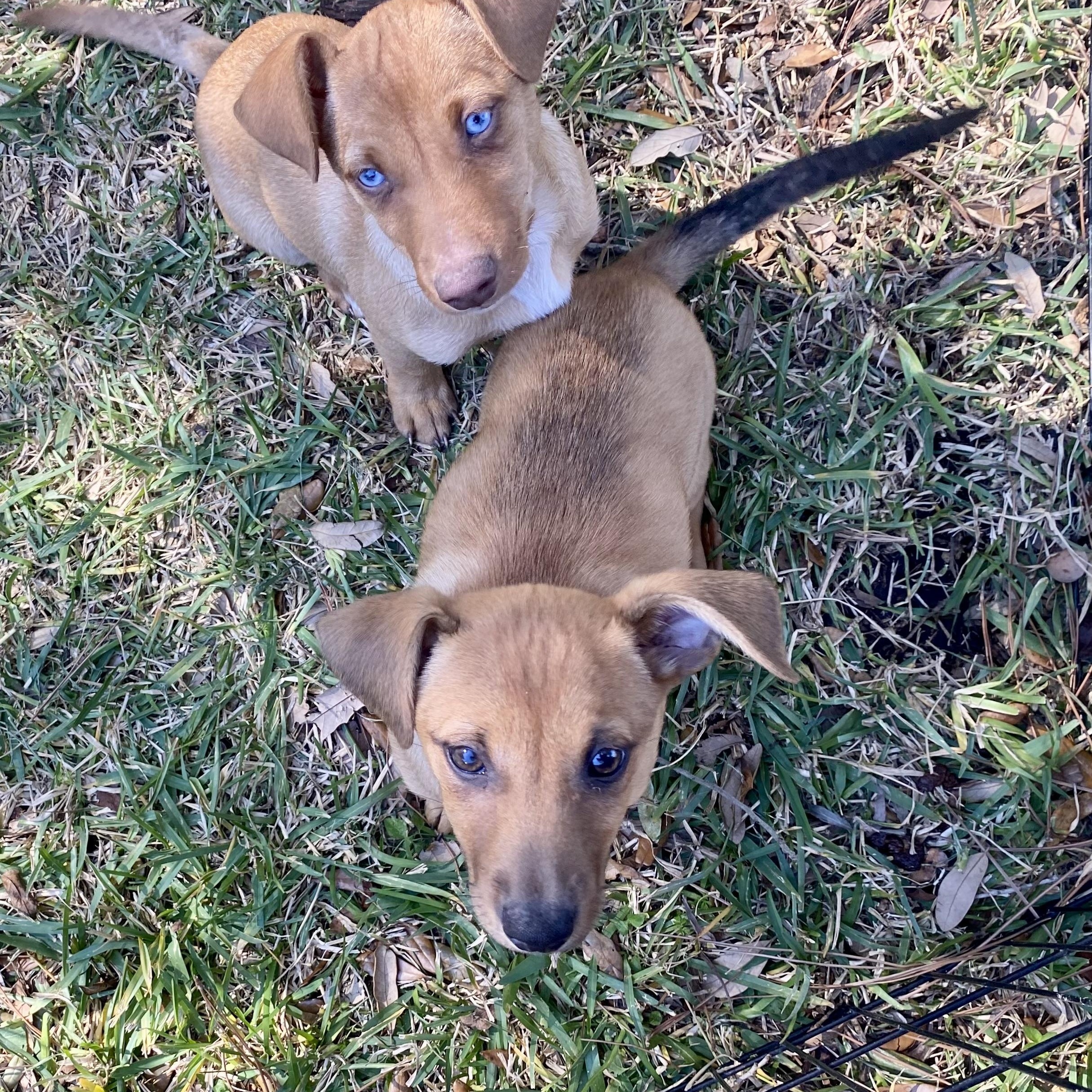 Jack — thumbnail 3