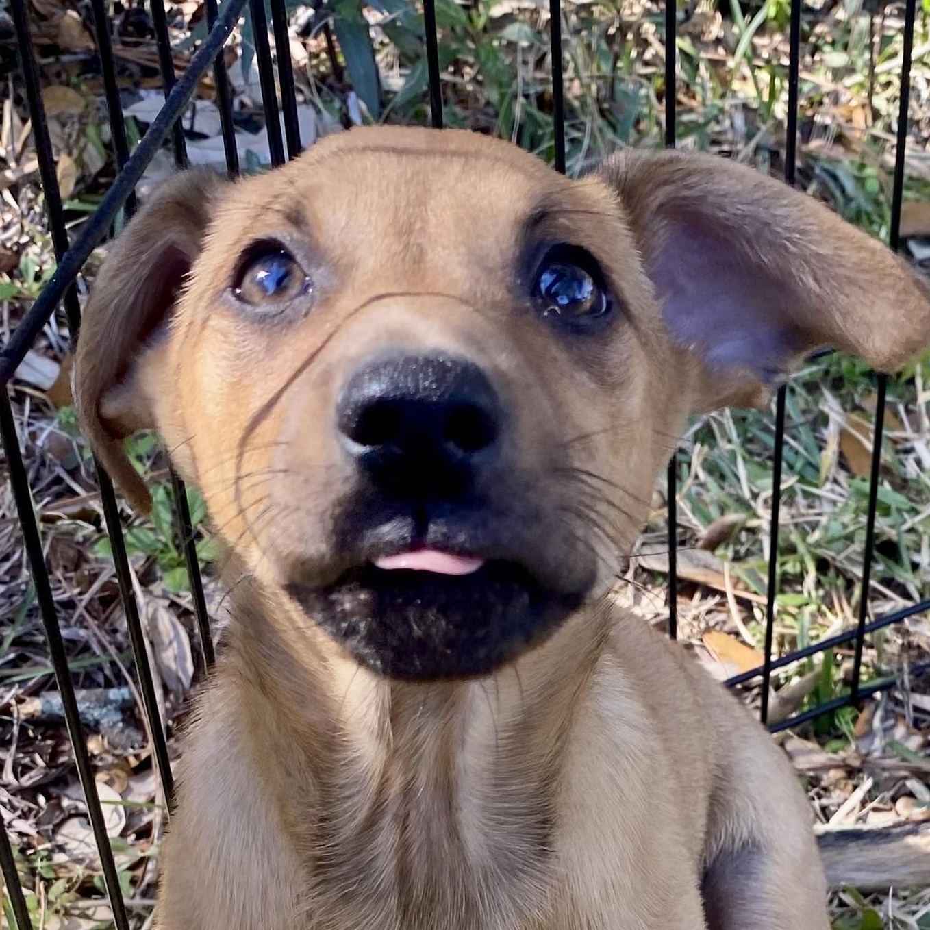 Jack — thumbnail 4