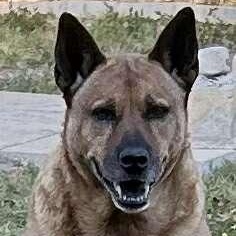 Sydney — thumbnail 6