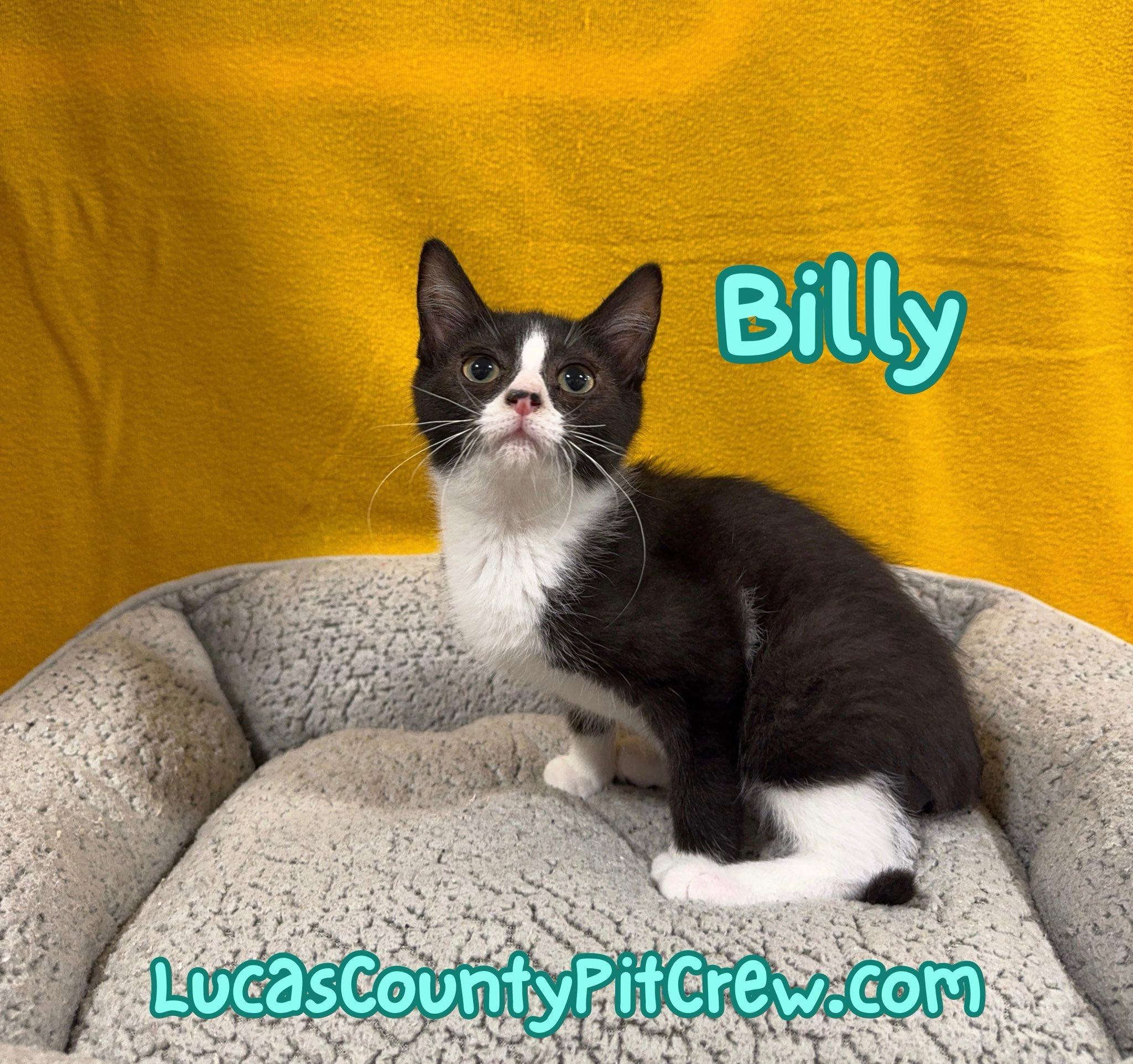 Billy
