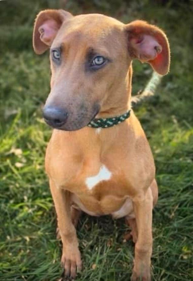 Coconut Aka Cocomae thumbnail 3