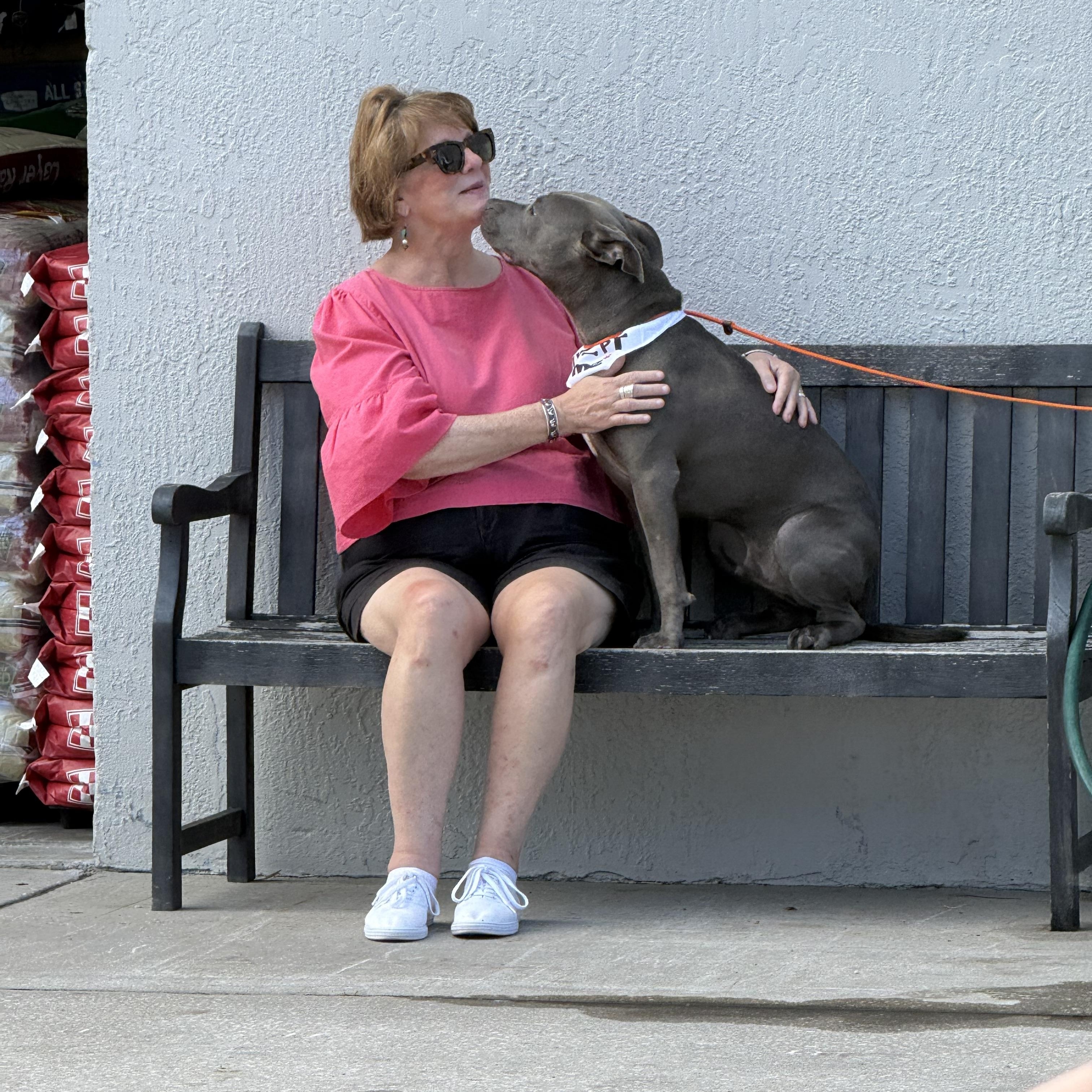 Enlarge Titan, an adopted Pit Bull Terrier in Palm Bay, FL image 3/6