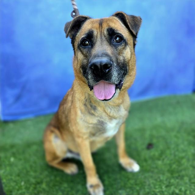 KINGSTON — thumbnail 2