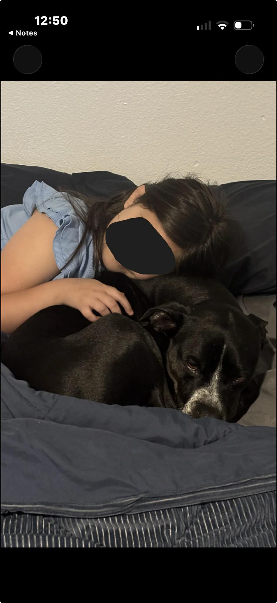 Enlarge Vader, a ADOPTABLE mixed breed in Elkhorn, WI image 3/6