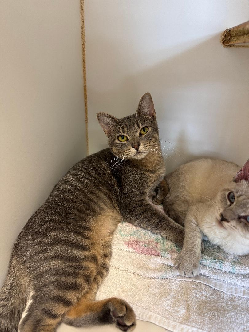 family cats　0331 This September for our 