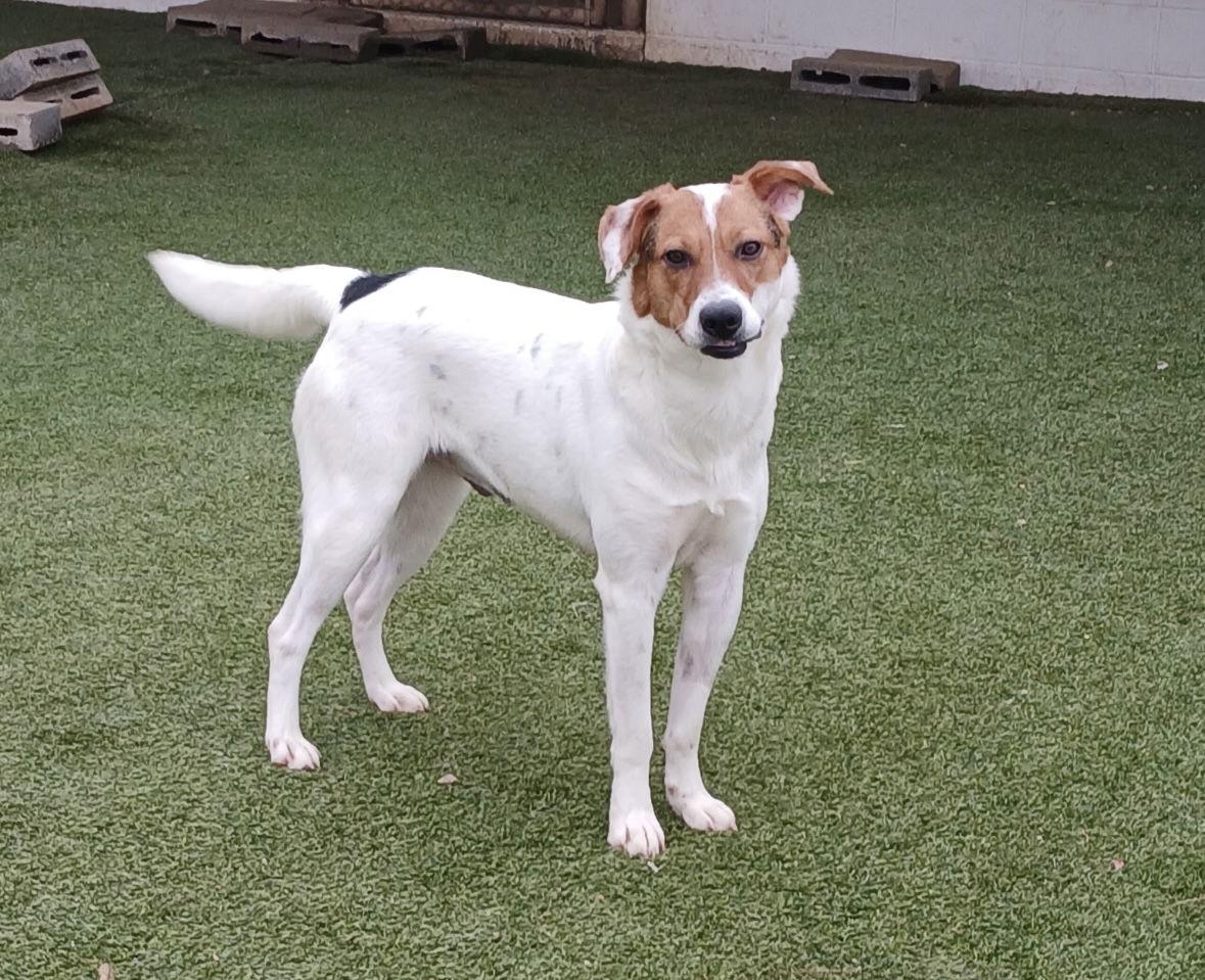 Valley Dixon thumbnail 2