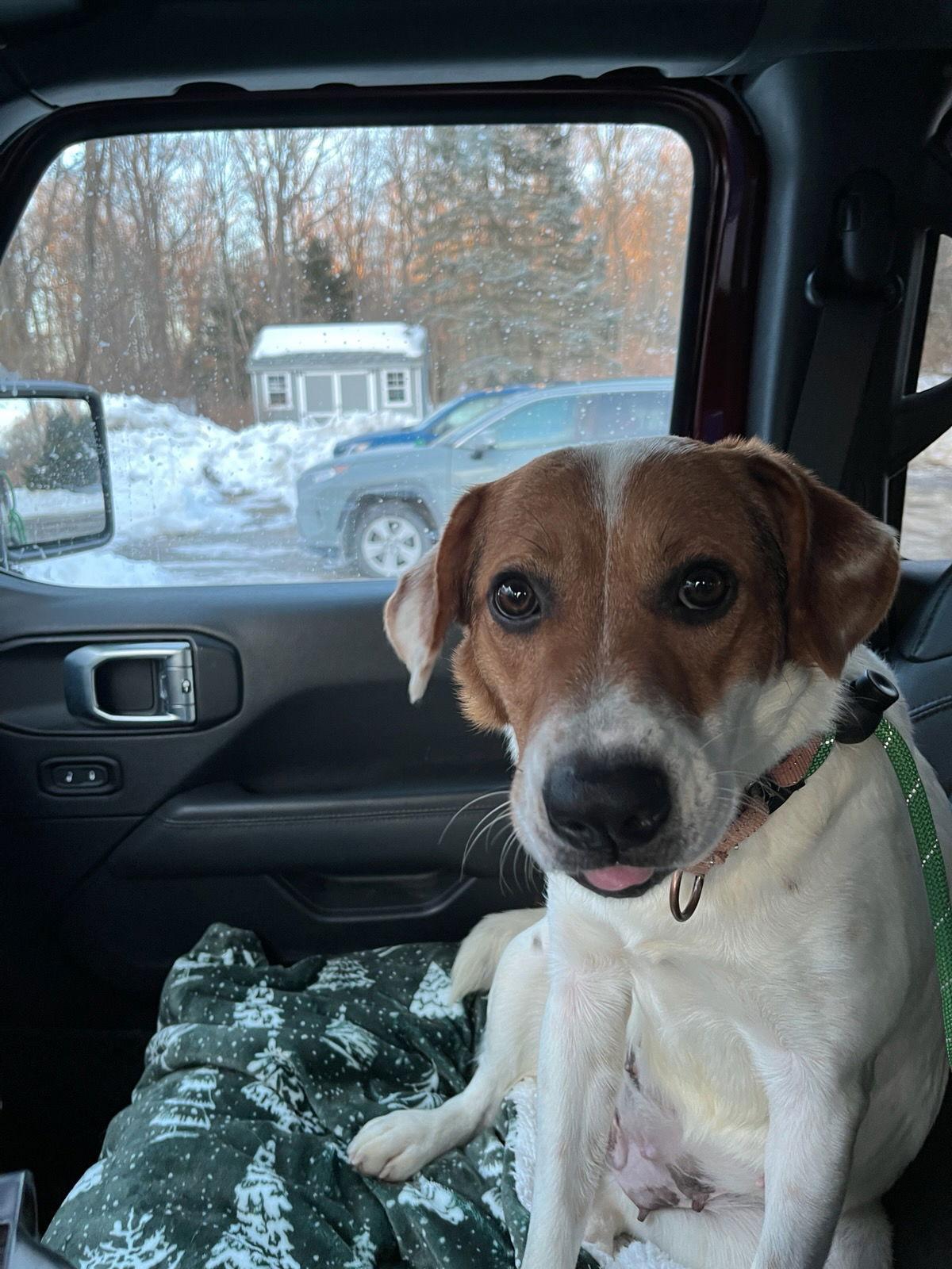 Valley Dixon thumbnail 3