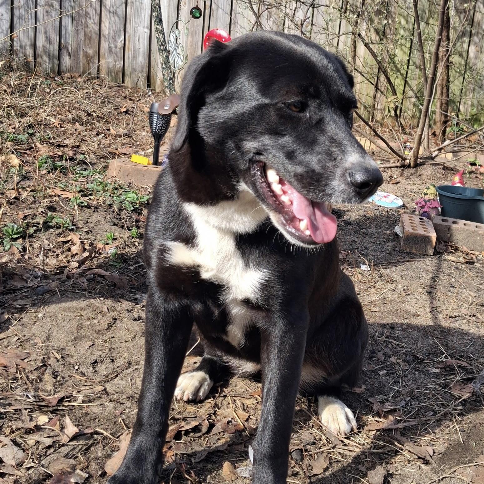 Lucky Charms — thumbnail 3