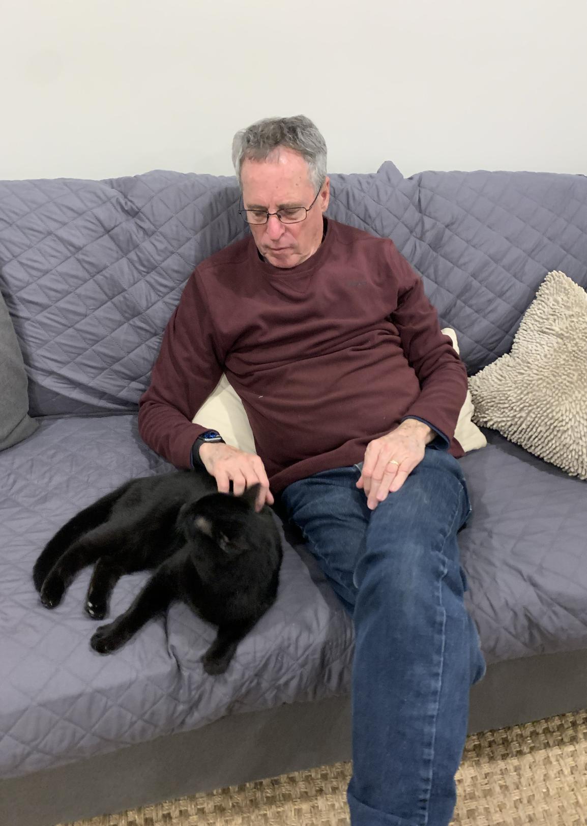 Dulcimer, an adopted Domestic Short Hair in Richmond, KY image 2/3