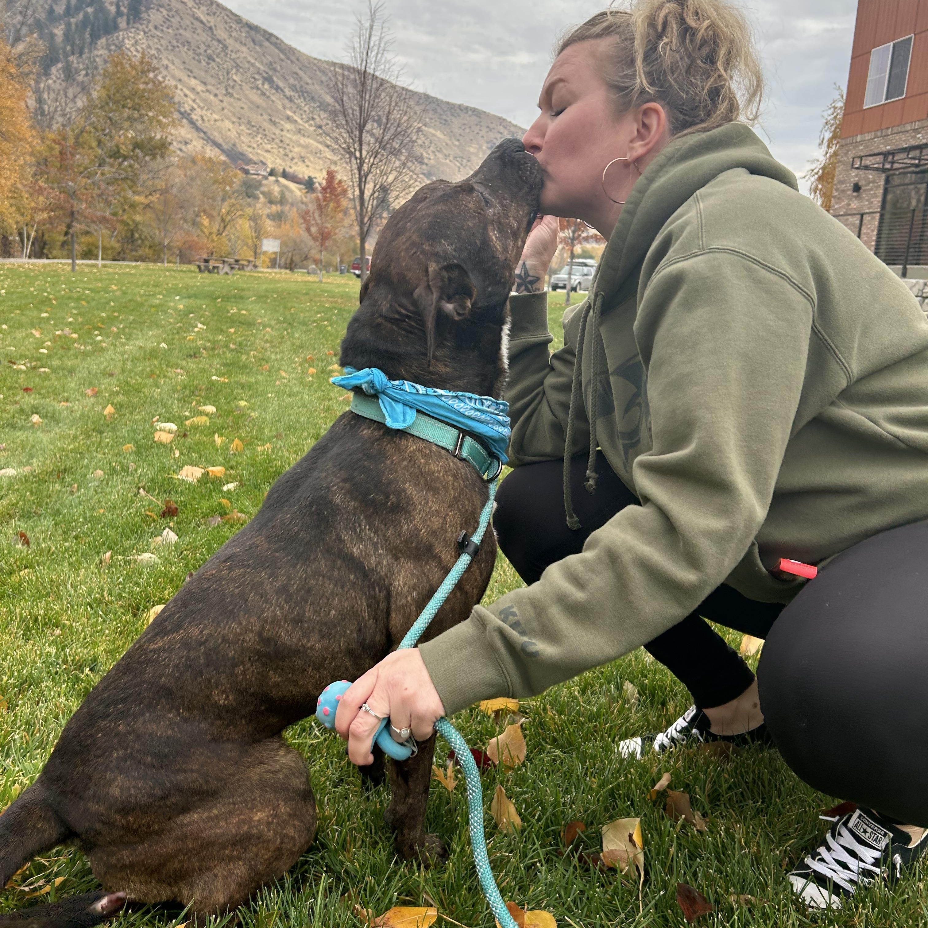 Pax, a Adoptable mixed breed in Port Angeles, WA image 6/6