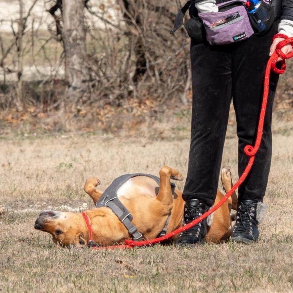 Clara Holiday — thumbnail 5