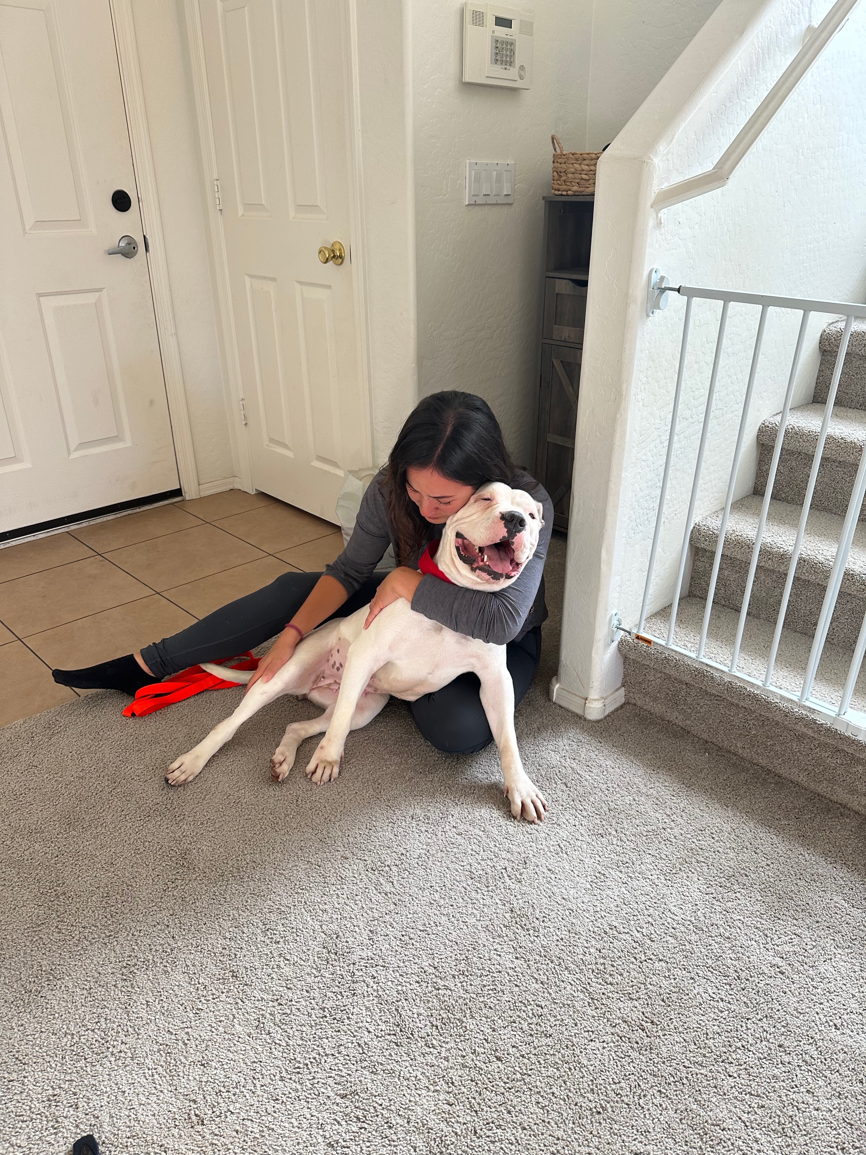 Enlarge PEACH, a Adopted mixed breed in San Tan Valley, AZ image 2/5