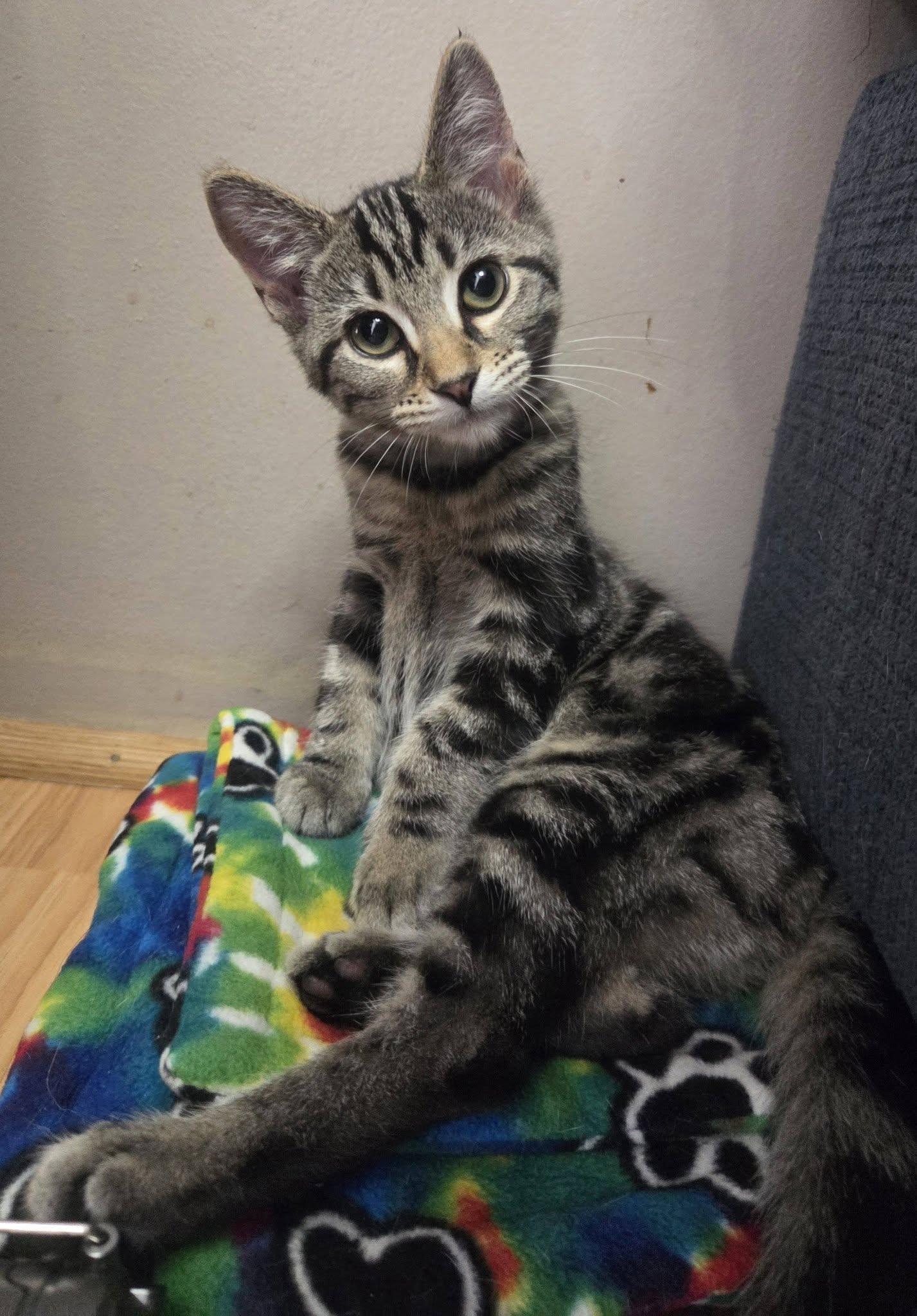 Squirt photo