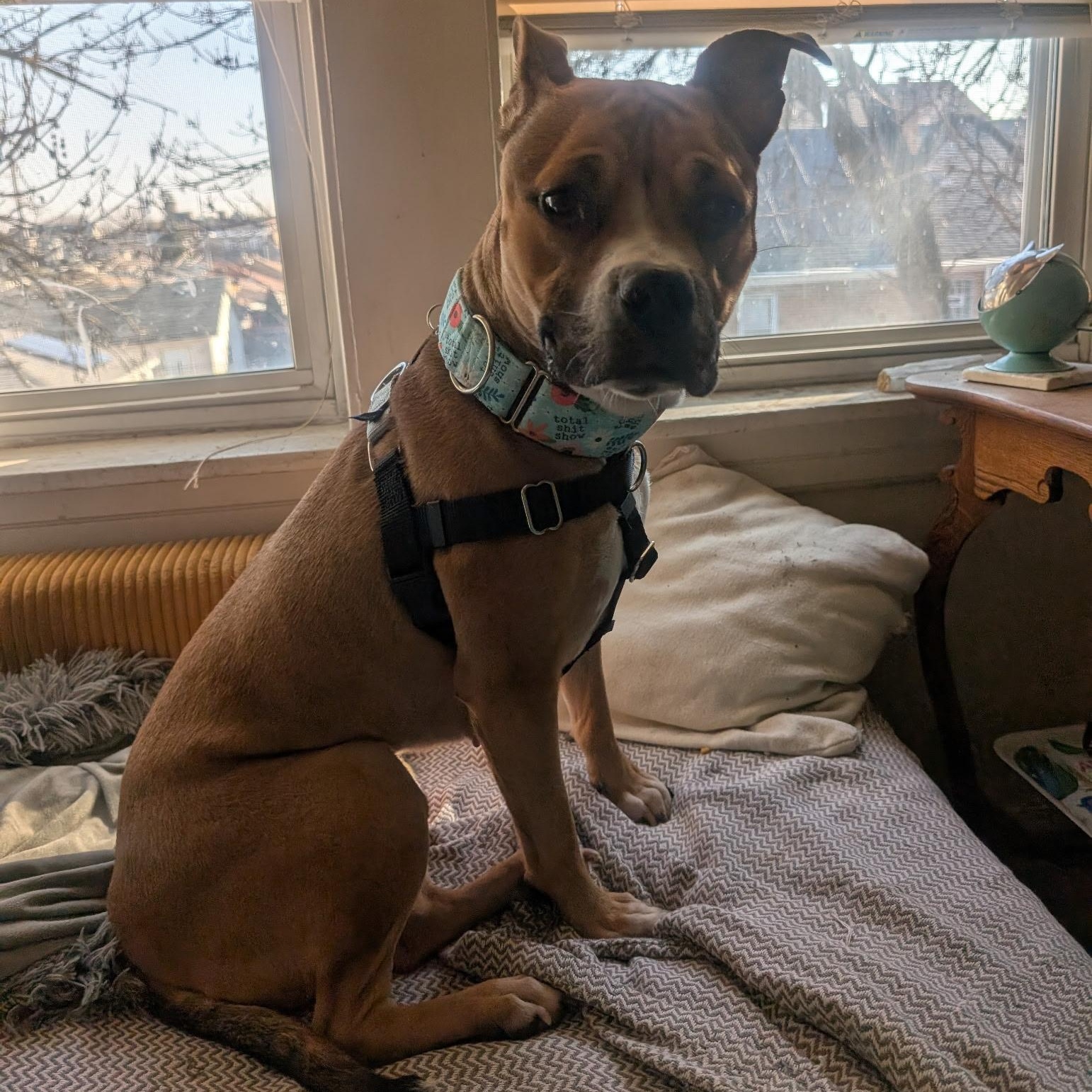 Matilda