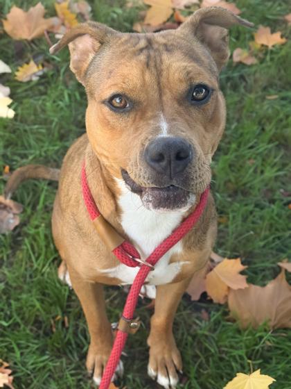 Tuka — thumbnail 3