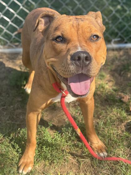 Tuka — thumbnail 4