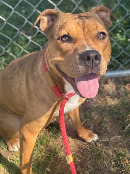 Tuka — thumbnail 6