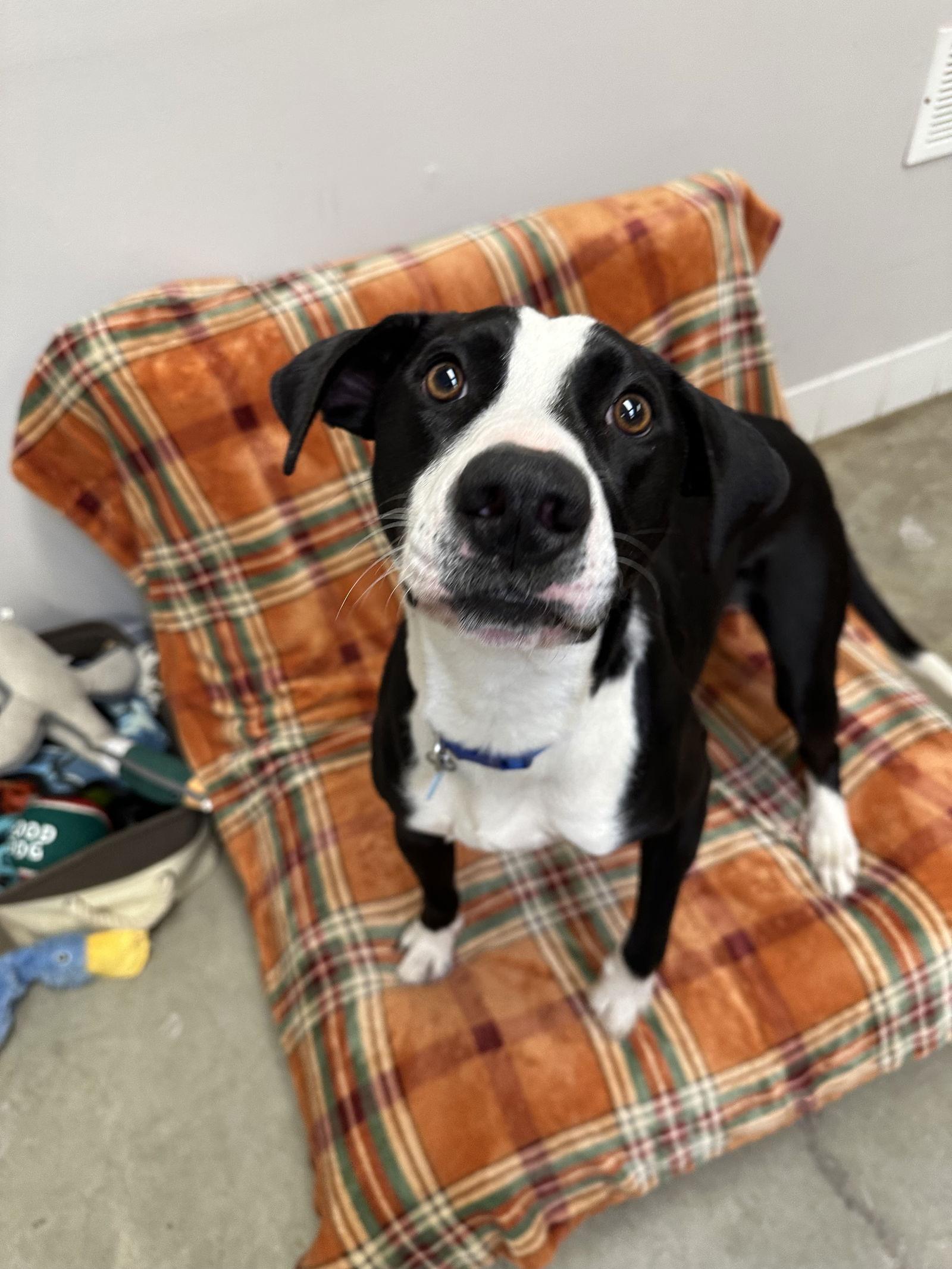 Tucker Dixon thumbnail 2