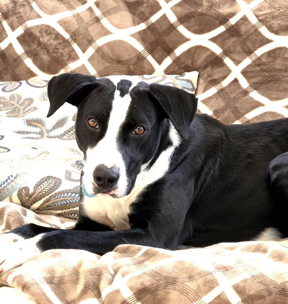 Tucker Dixon thumbnail 3