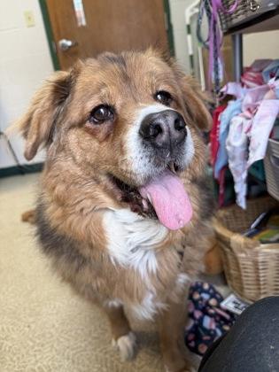 Holly — thumbnail 2