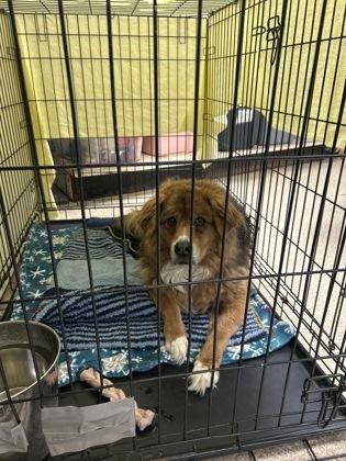 Holly — thumbnail 3