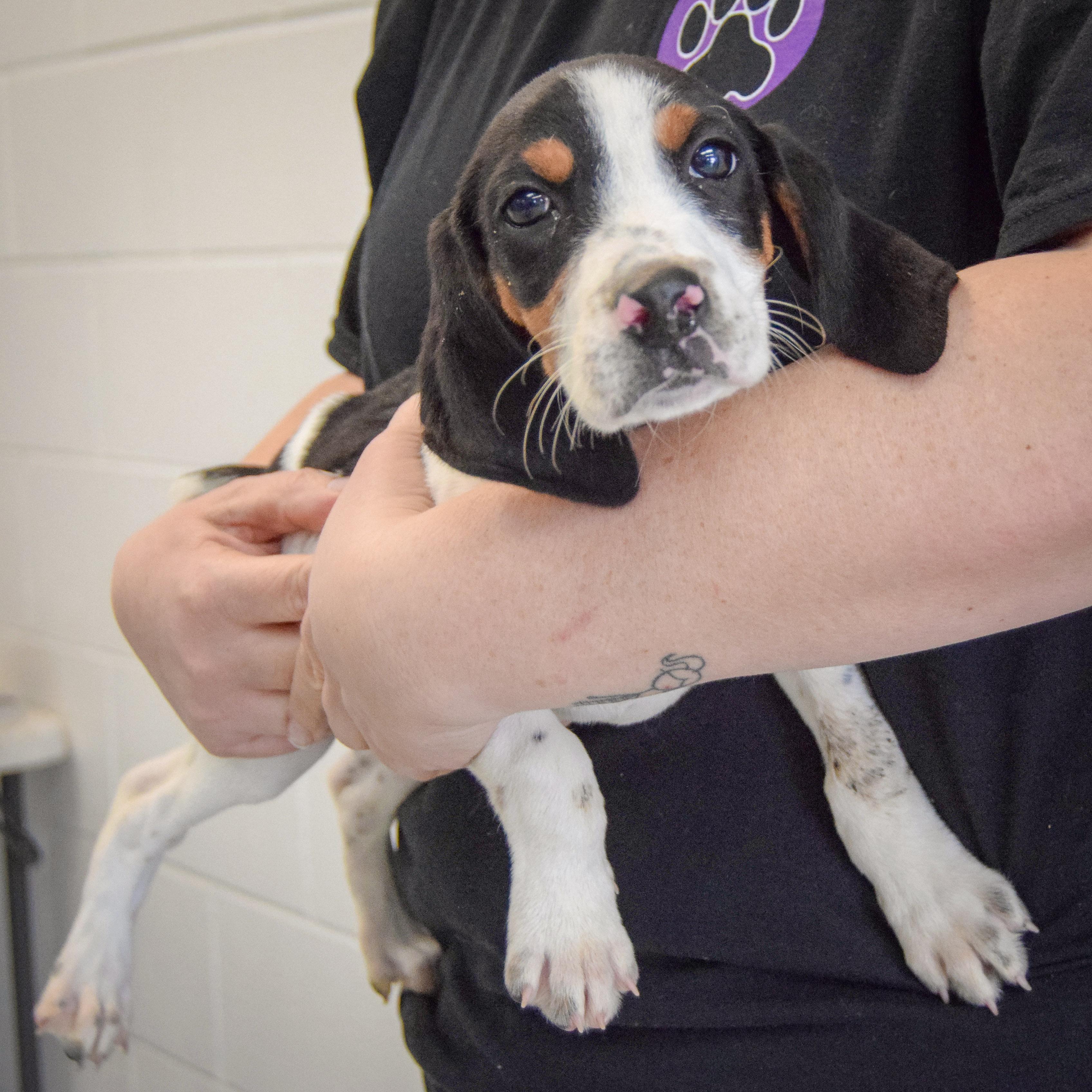 Winnie The Pooh thumbnail 5