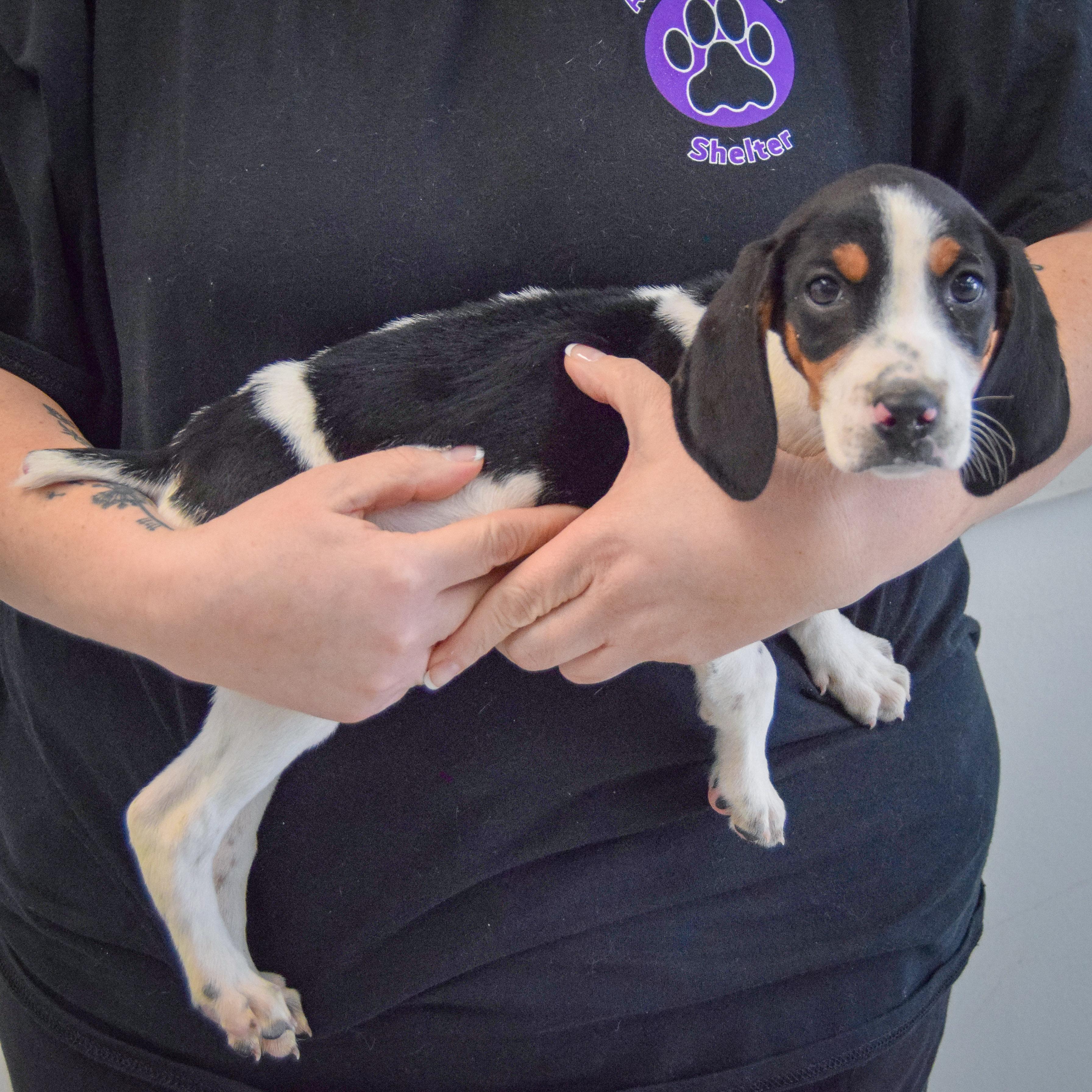 Winnie The Pooh thumbnail 6