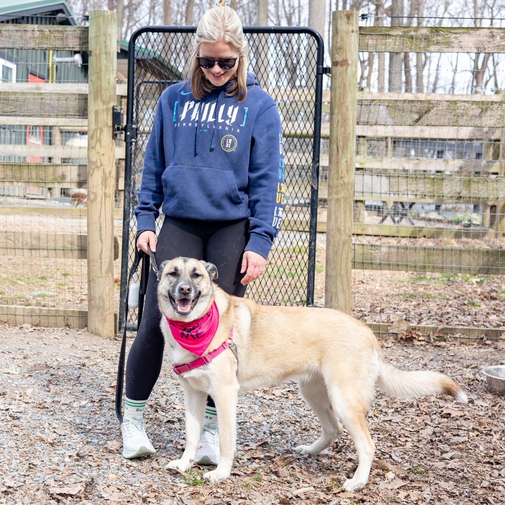 Enlarge Roo  (Female)   , a Adoptable mixed breed in West Grove, PA image 2/6