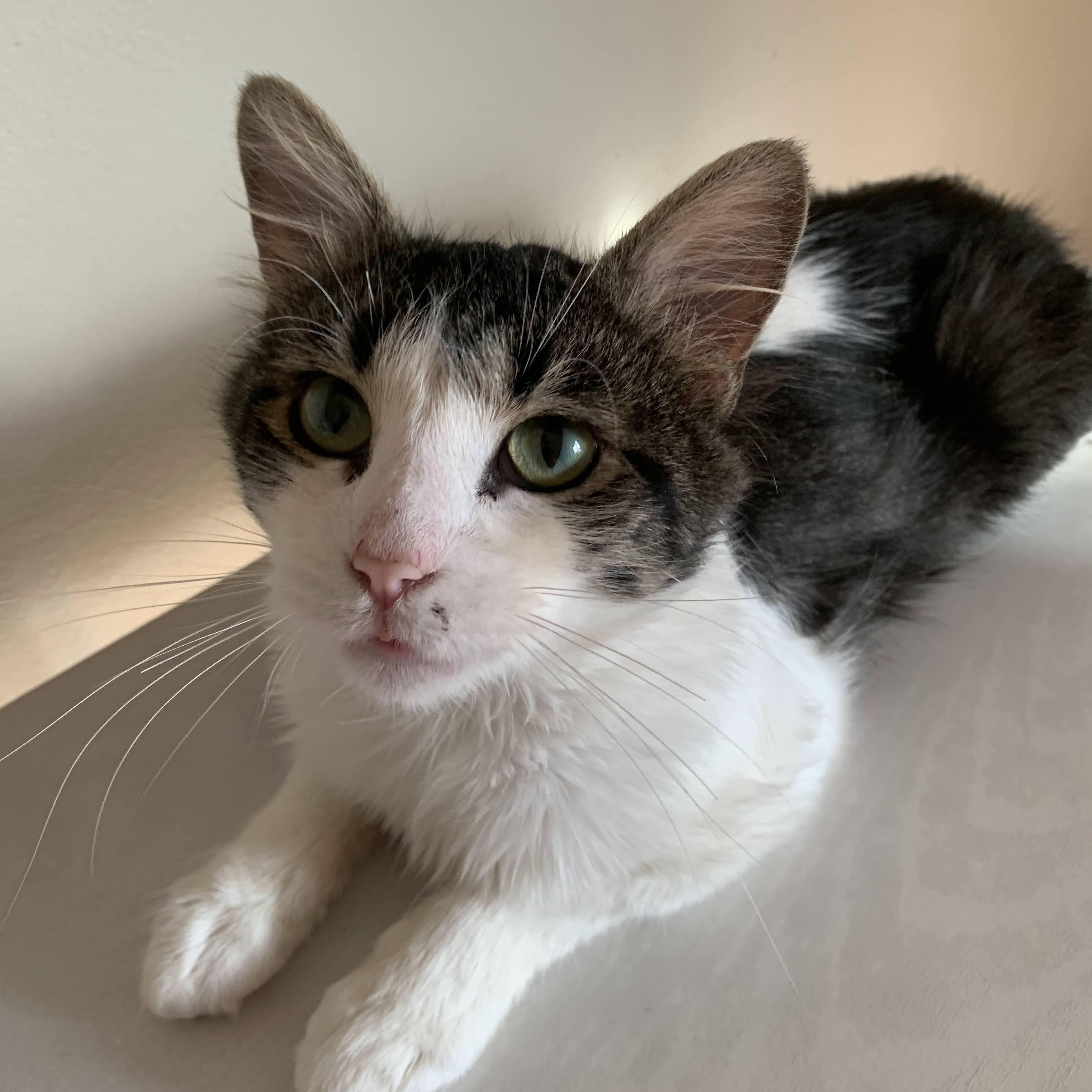 Aiden — thumbnail 4