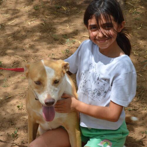 Enlarge Kiara, a Adoptable mixed breed in Sullivan City, TX image 2/3