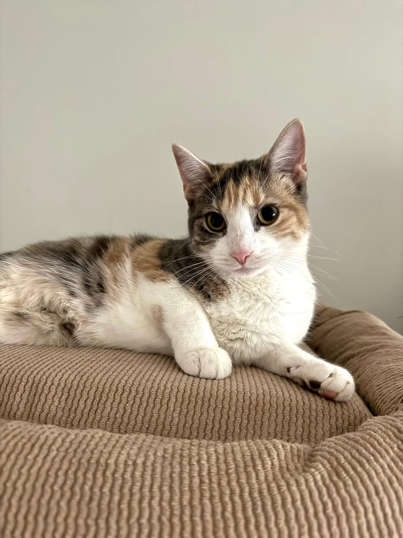 Margaret thumbnail 2