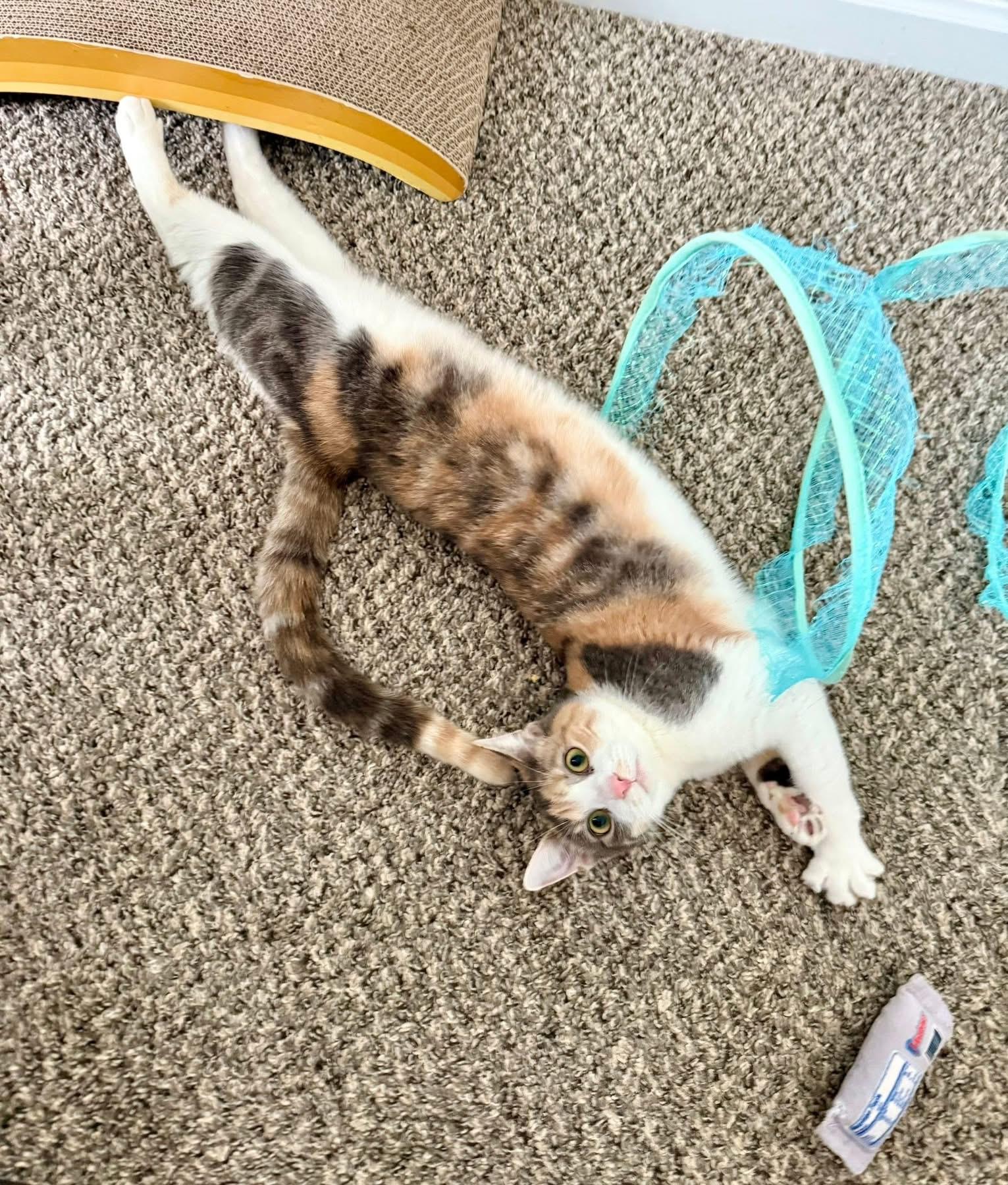 Margaret thumbnail 3