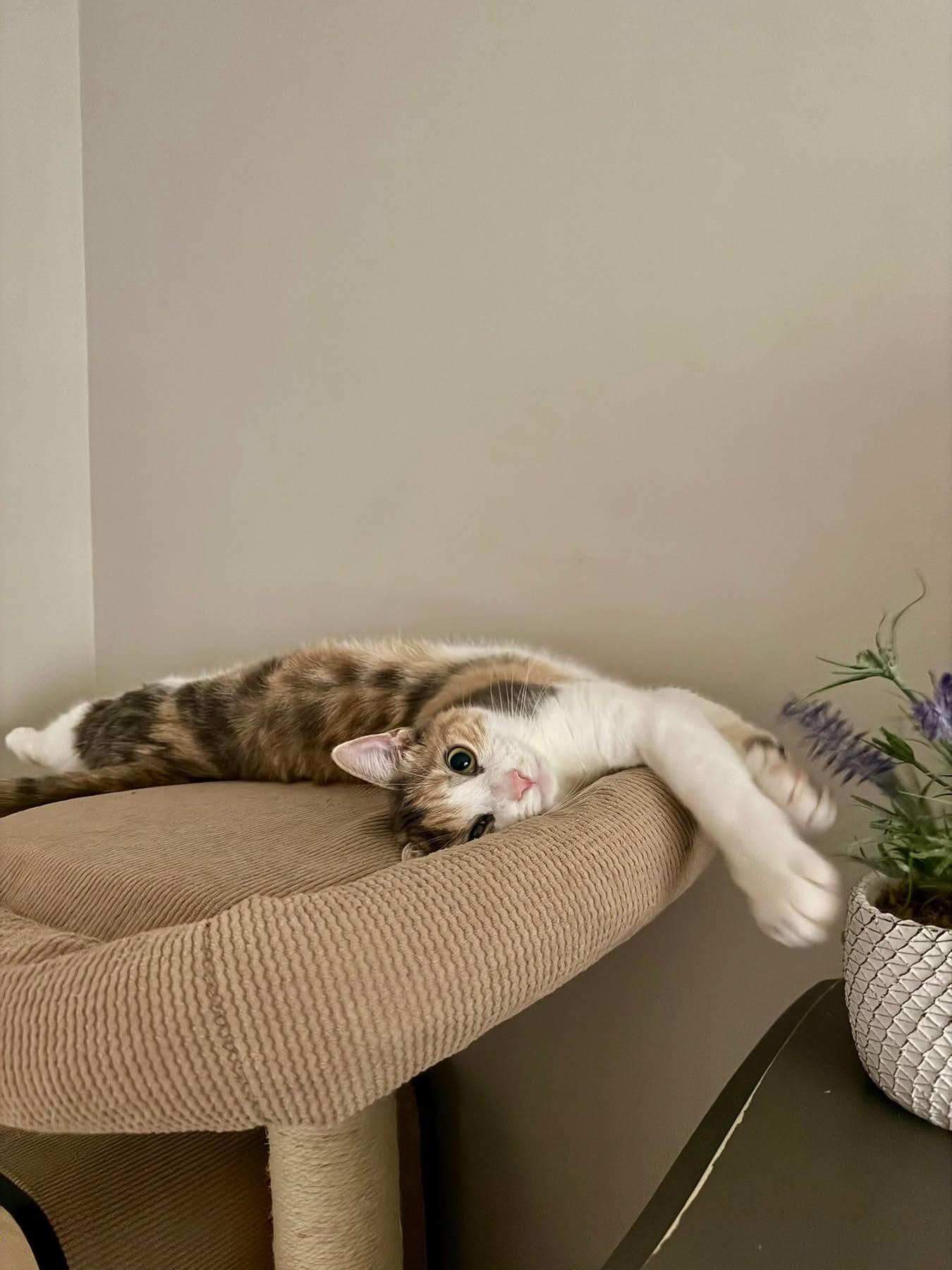 Margaret thumbnail 4