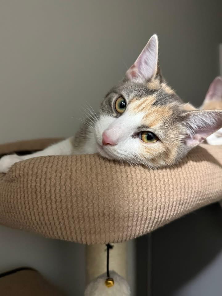 Margaret thumbnail 5