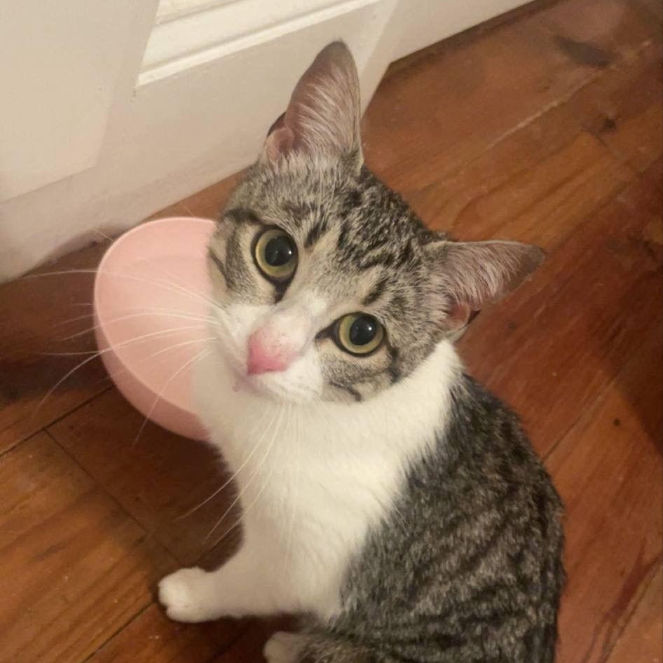 Tuna photo 1